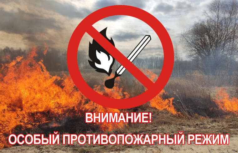Особый противопожарный режим. Особый противопожарный режим.